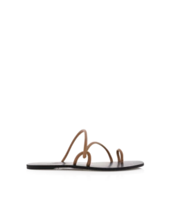 Hyams - Clay By Billini Shoes