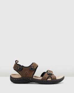 Austin Brown By Hush Puppies