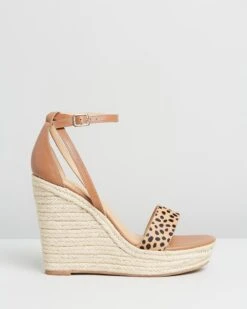 Opening Camel Multi By Siren